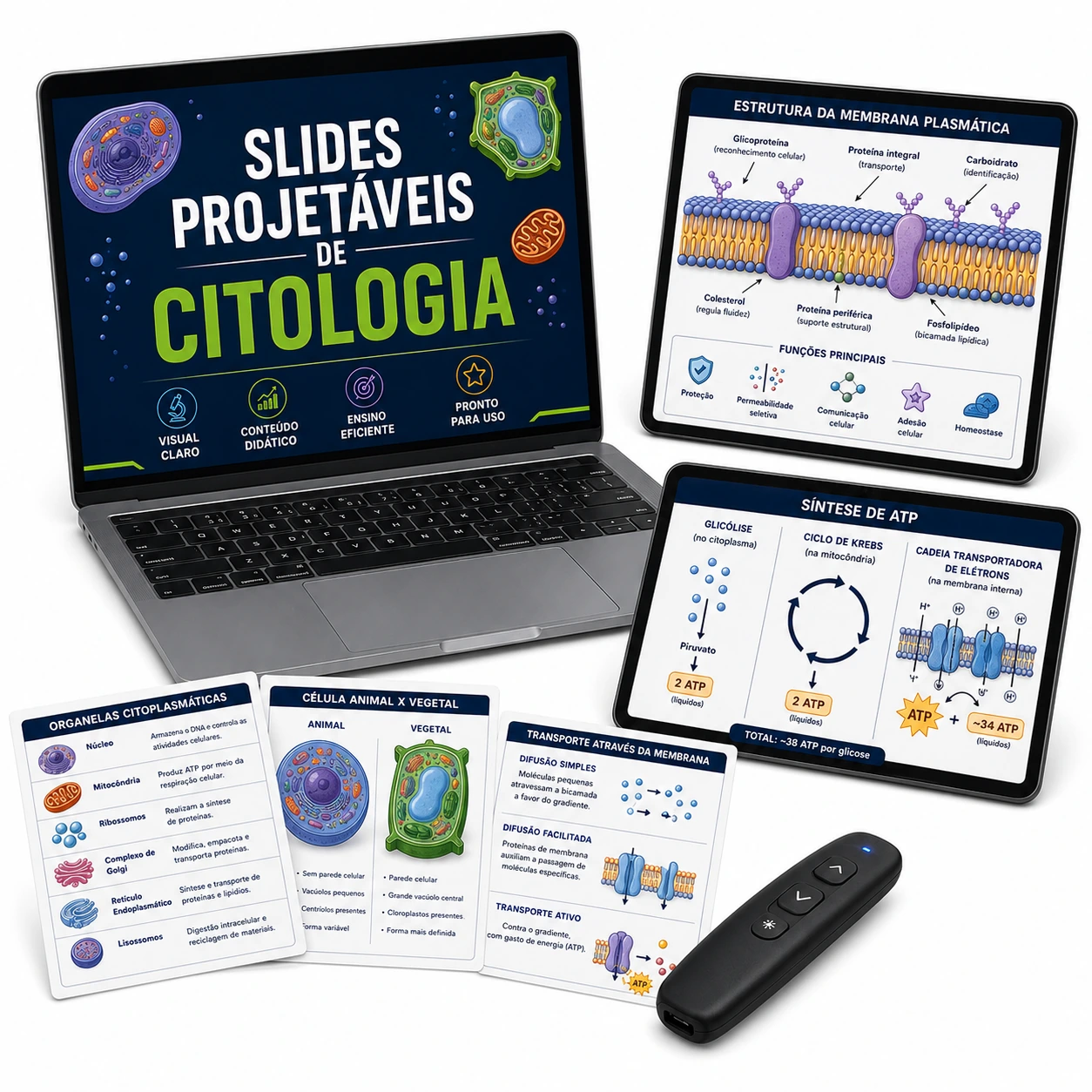Slides Projetáveis de Citologia